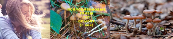 каннабис Абинск