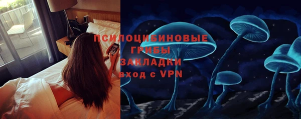 спайс Алзамай