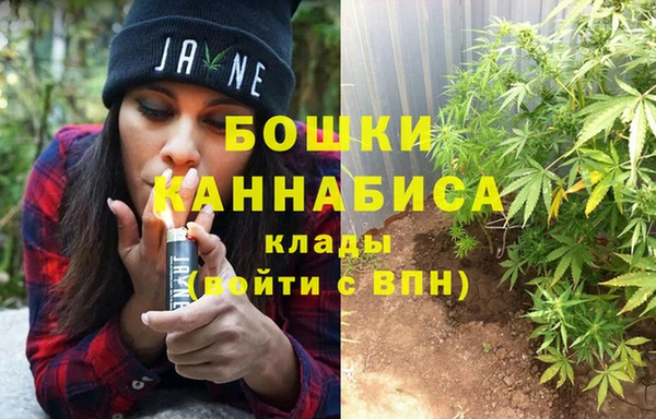 PSILOCYBIN Алексин