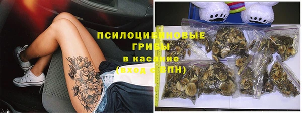 прущие грибы Абдулино