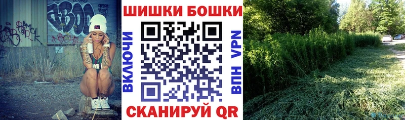 цена   Благодарный  Конопля сатива 